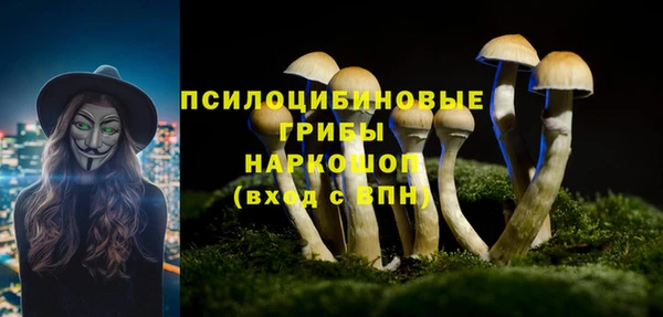 МДПВ Алексин